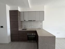 The Florence Residences (D19), Apartment #603677091